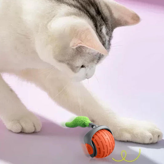 Juguete Pelota Para Gato Dos Velocidades,  juguete para gato rhossybe, accesorios para gatos . 
Pelota Automática Interactiva para Gatos – Recargable y con Movimiento Inteligente

Juguete Inteligente para Gatos – Pelota Eléctrica con Motor y Velocidad Ajustable

Pelota Eléctrica para Gatos con Movimiento Aleatorio – Ideal para Alfombras

Pelota Juguete para Gatos Recargable – Estimula el Juego y el Ejercicio

Pelota Interactiva para Gatos con Motor Potente – Diversión Infinita

Juguete Automático para Gatos